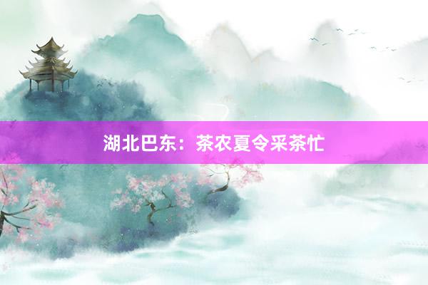 湖北巴东：茶农夏令采茶忙