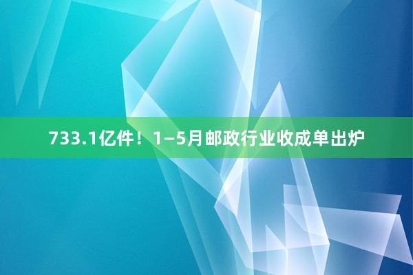 733.1亿件！1—5月邮政行业收成单出炉