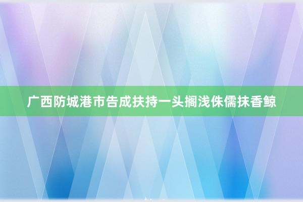 广西防城港市告成扶持一头搁浅侏儒抹香鲸