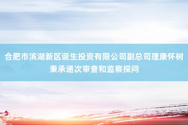 合肥市滨湖新区诞生投资有限公司副总司理康怀树秉承递次审查和监察探问