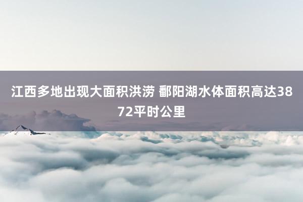 江西多地出现大面积洪涝 鄱阳湖水体面积高达3872平时公里