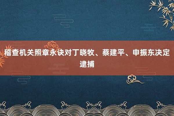 稽查机关照章永诀对丁晓牧、蔡建平、申振东决定逮捕