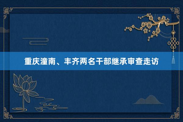 重庆潼南、丰齐两名干部继承审查走访