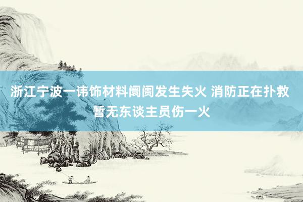 浙江宁波一讳饰材料阛阓发生失火 消防正在扑救 暂无东谈主员伤一火