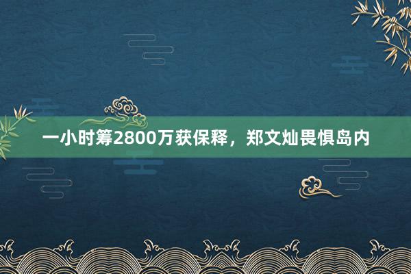 一小时筹2800万获保释，郑文灿畏惧岛内