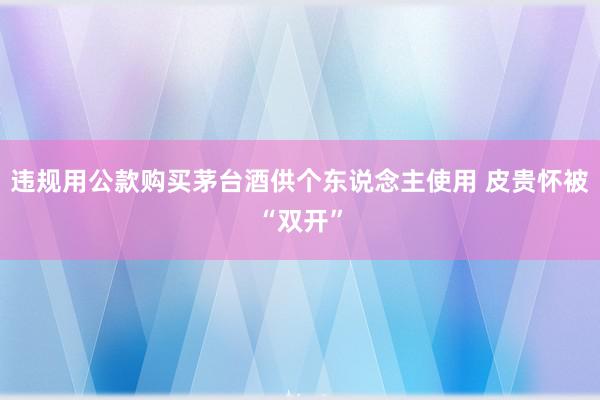 违规用公款购买茅台酒供个东说念主使用 皮贵怀被“双开”