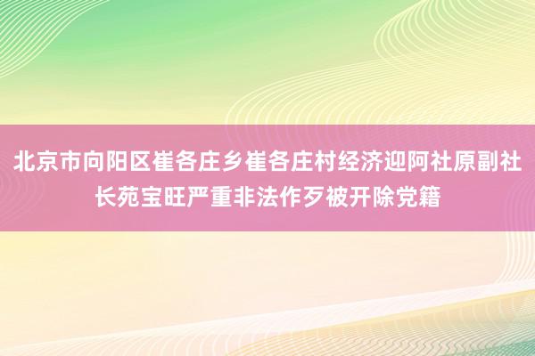 北京市向阳区崔各庄乡崔各庄村经济迎阿社原副社长苑宝旺严重非法作歹被开除党籍