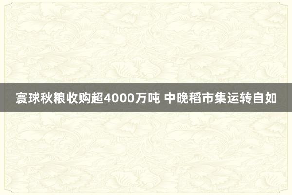 寰球秋粮收购超4000万吨 中晚稻市集运转自如