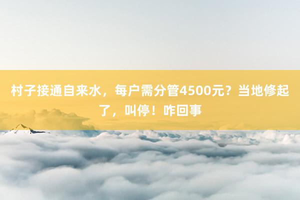 村子接通自来水，每户需分管4500元？当地修起了，叫停！咋回事