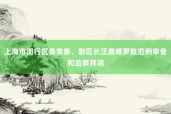 上海市闵行区委常委、副区长汪晨曦罗致范例审查和监察拜谒